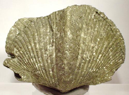 Pirita de Ohio